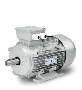 motor1 Motor